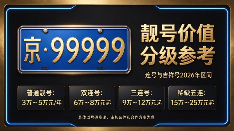 2026年北京车指标市场分析